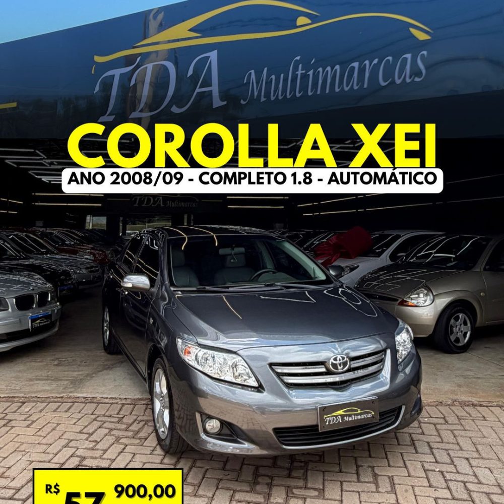 WhatsApp Image 2026-02-05 at 17.13.32 (3)