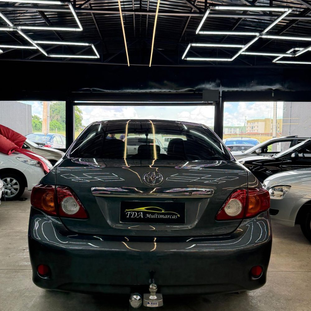 WhatsApp Image 2026-02-05 at 17.13.32