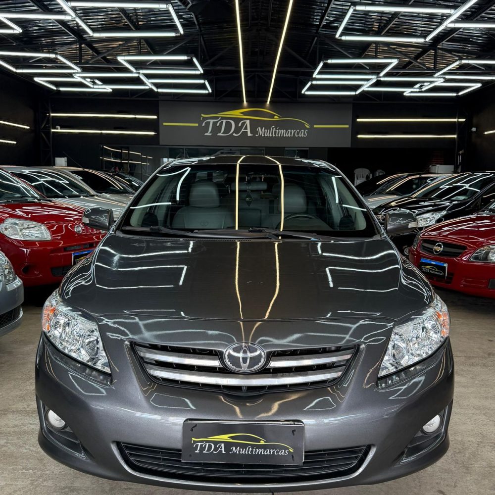 WhatsApp Image 2026-02-05 at 17.13.33 (3)